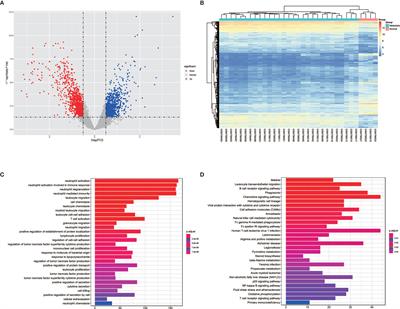 Identification of Key Gene Signatures Associated With Bone Metastasis in Castration-Resistant Prostate Cancer Using Co-Expression Analysis